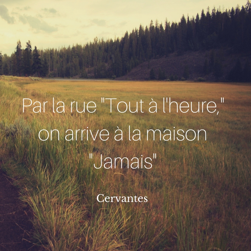 citation cervantes